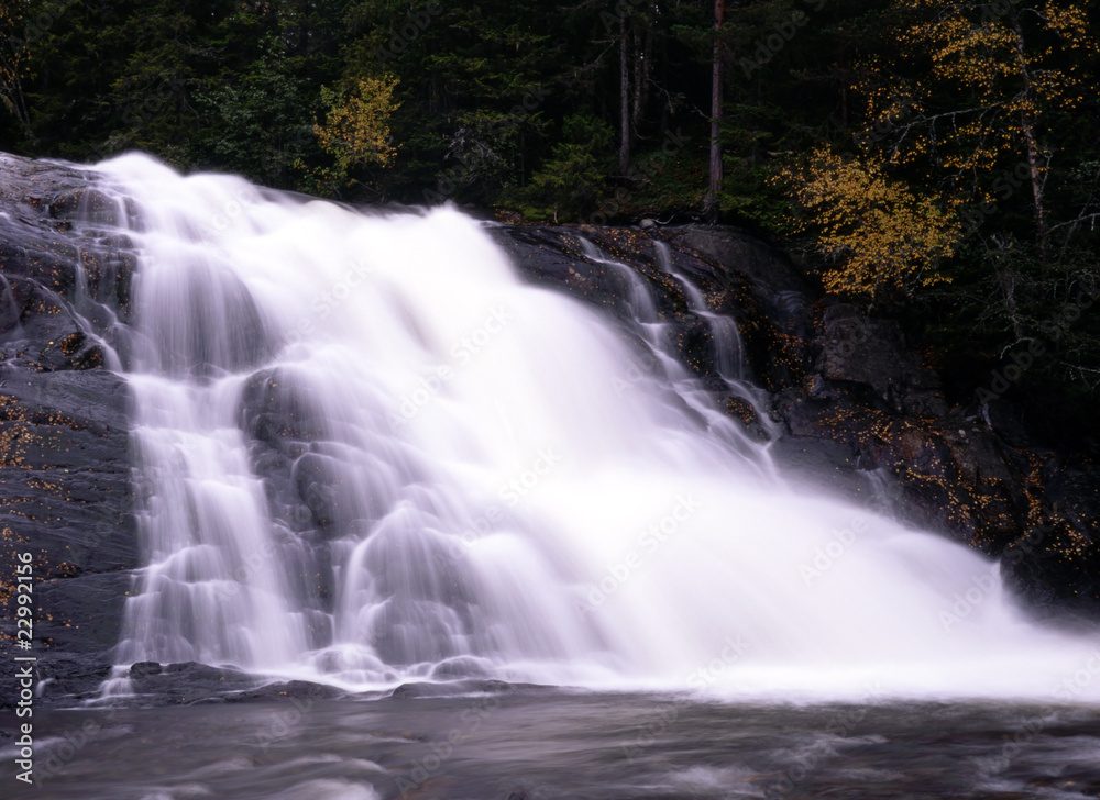 Fototapeta premium Waterfall