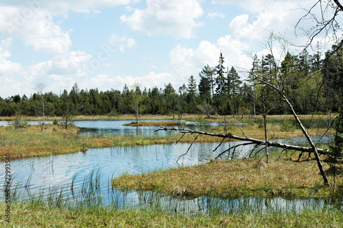 Wildseemoor in Kaltenbronn / Schwarzwald / Deutschland photo