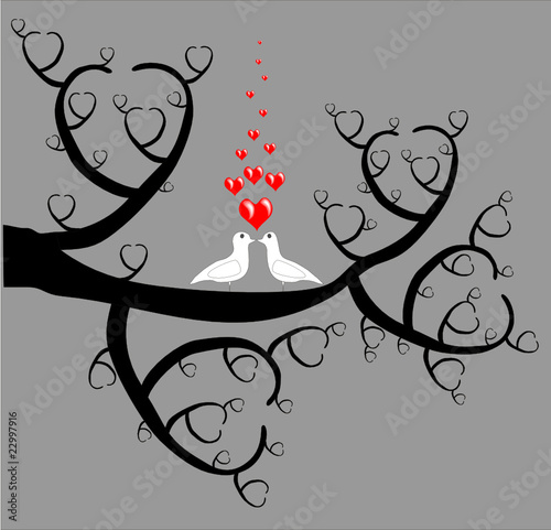 wihte doves in love