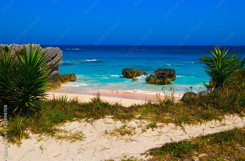 Remote tropical beach on sunny day (Bermuda south shore)