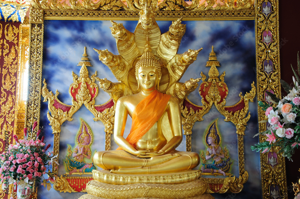 Fototapeta premium Image of buddha