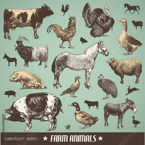 vector set: farm animals - various retro-style illustrations