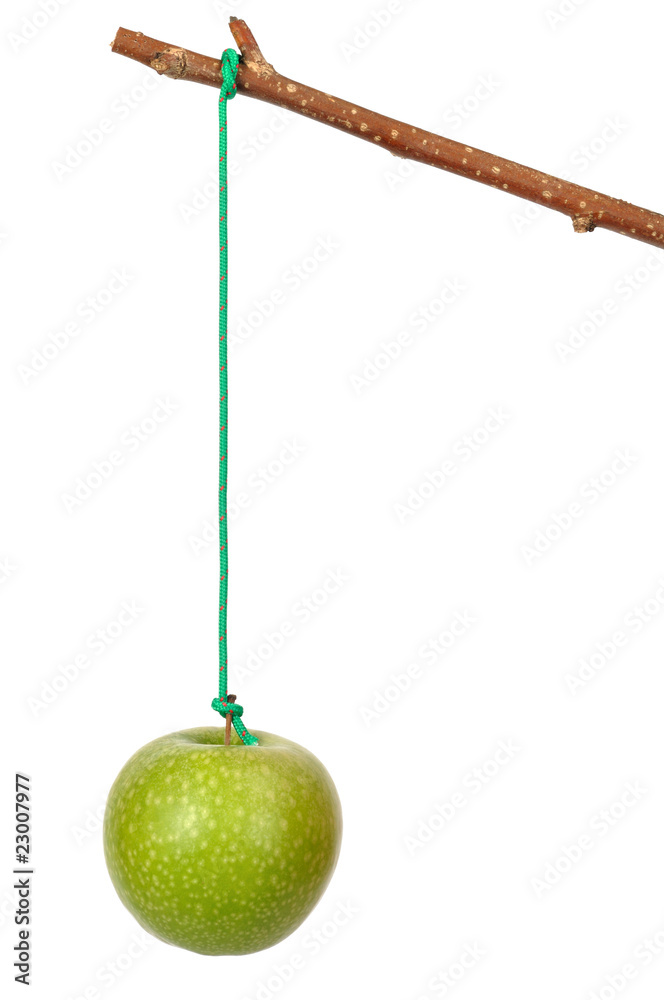 Apple and Stick Apple and Stick