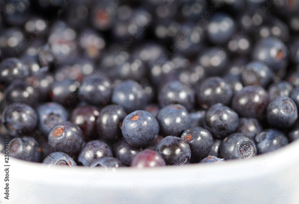 Sweet berries bilberries ( whortleberries ) Sweet berries bilberries ( whortleberries )