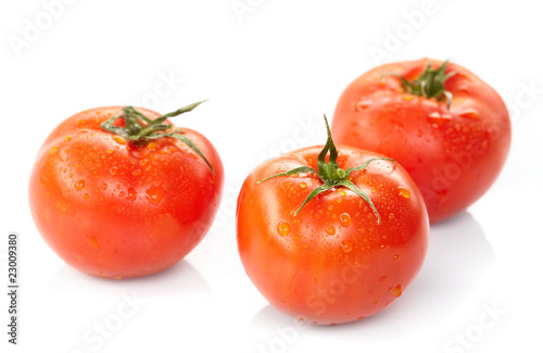 fresh tomatoes on the white background