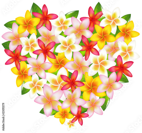 Heart From Fragipani