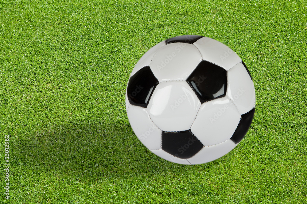 Fototapeta premium Fussball auf Fussballrasen