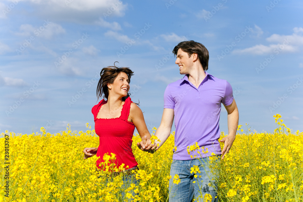 bunte sommerwiese mit pärchen