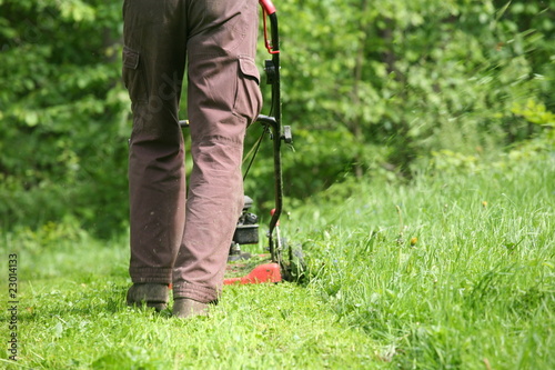 Obraz w ramie Mowing