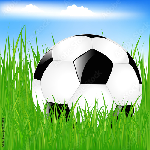 Classic Soccerball In Green Grass