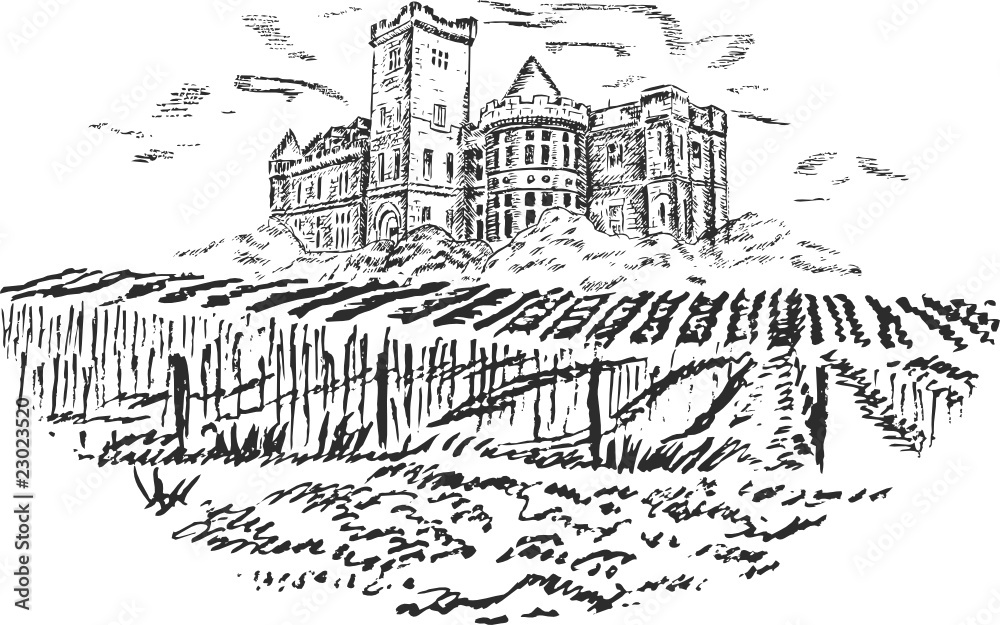 Vintage - vineyard and castle