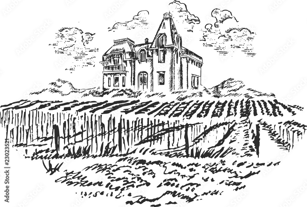 Vintage - vineyard and castle