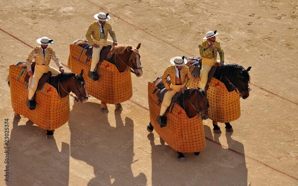 Obraz premium corrida 1