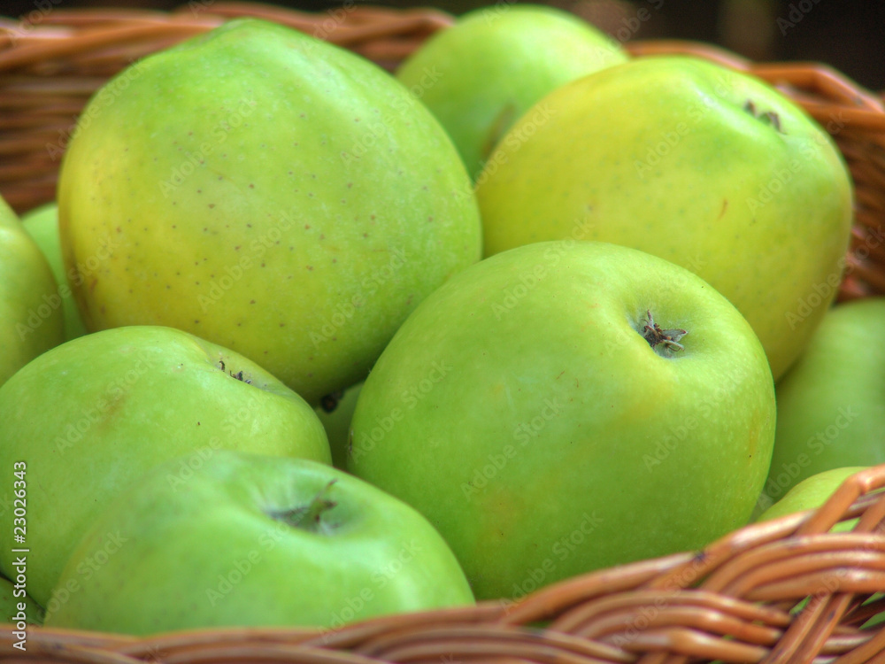 Apples in the basket nb.7 Apples in the basket nb.7