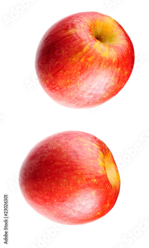 pair of cox's orange apples