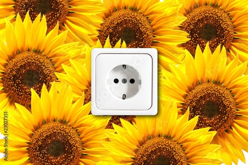 ecological power outlet photo