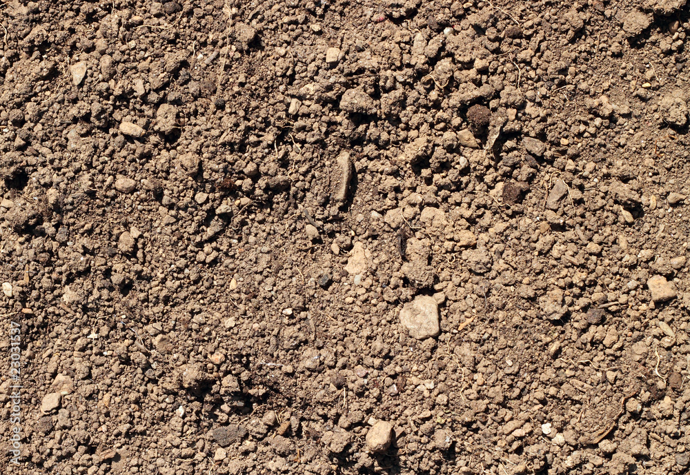 Garden soil close up natural texture background. Garden soil close up natural texture background.