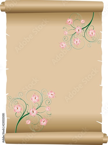 Pergamena Decorata-Decorated Parchment Background-Vector