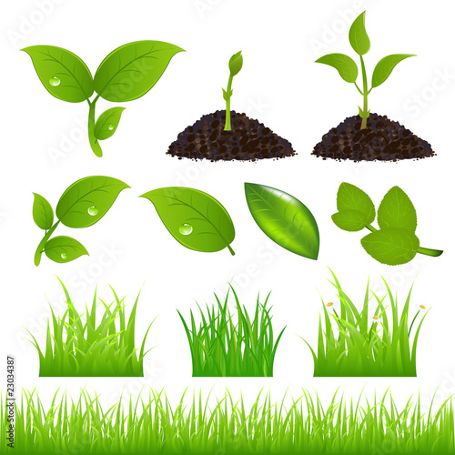 Green Spring Elements Set For Your Design