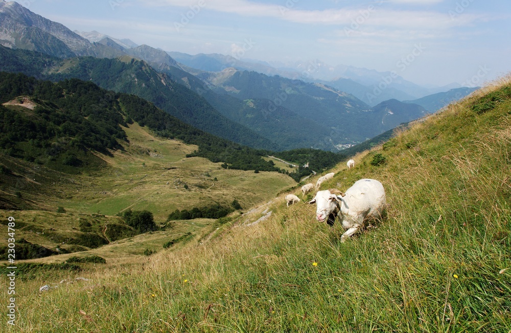 Fototapeta premium Appealing point of view in Pyrenean's mountain