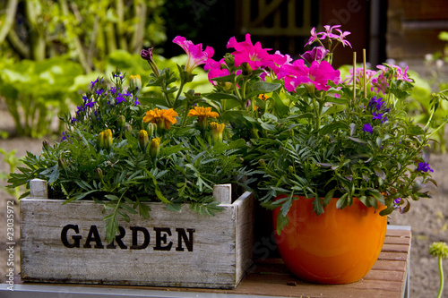 Fototapeta Naklejka Na Ścianę i Meble -  Flower garden
