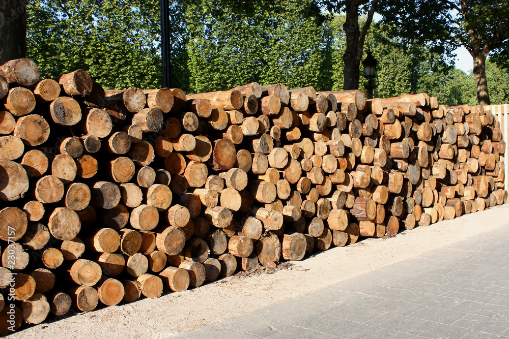 Stock de rondins de bois