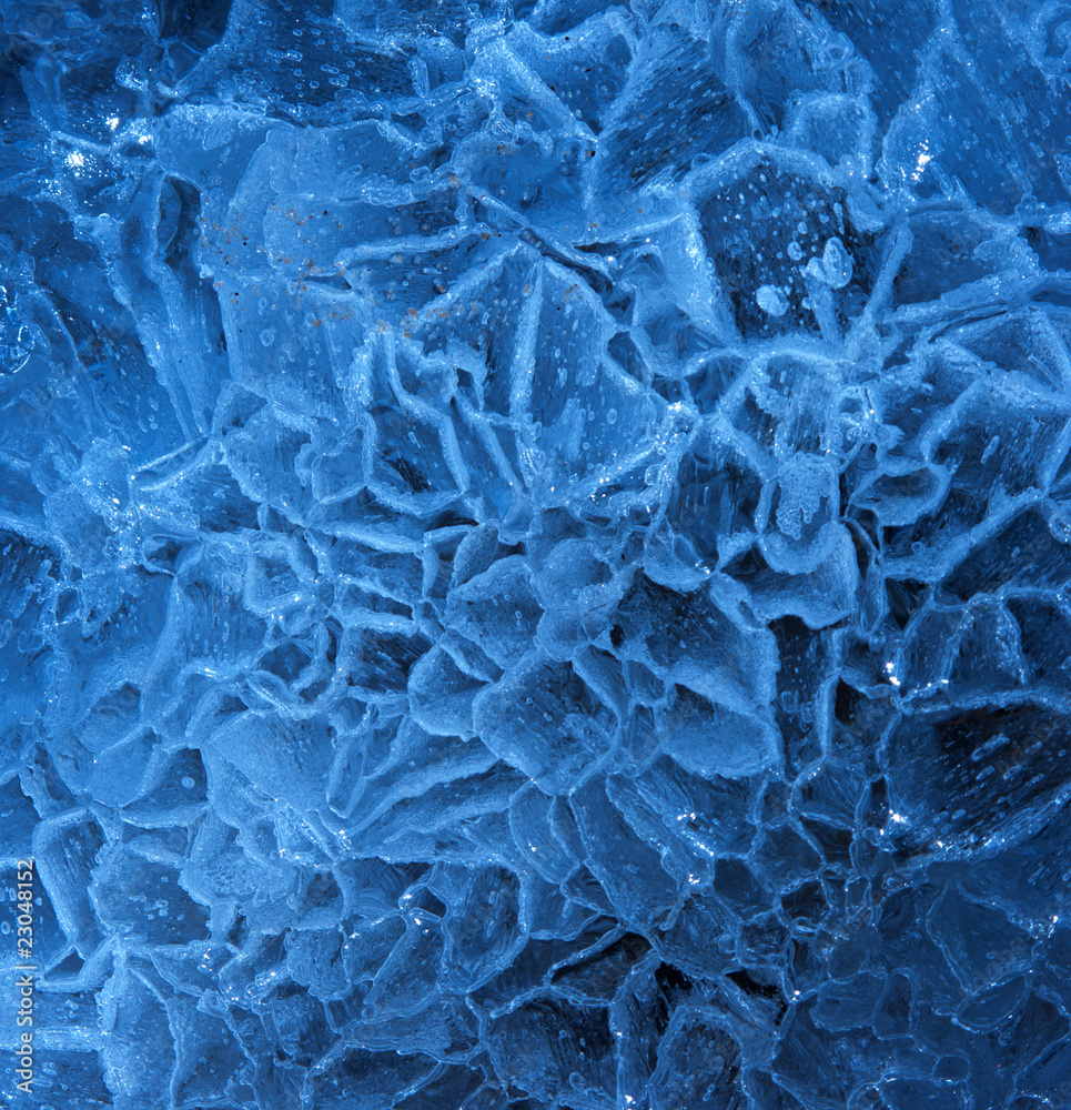 Obraz premium ICE FLOWERS