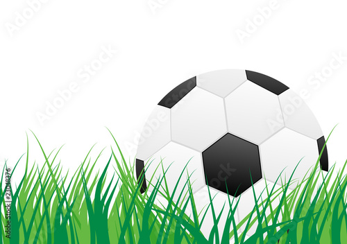 Background - Soccer  Ball on Grass 