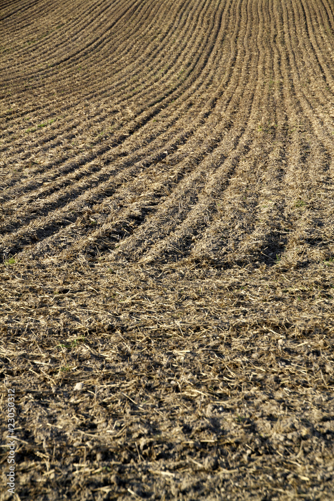 Acker mit Spuren Acker mit Spuren