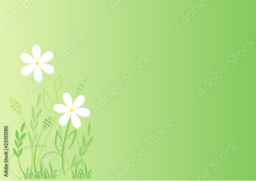 Frühlingsblumen auf zartgrünem Hintergrund