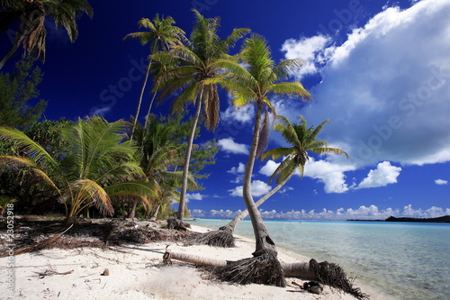 motu dans lagon de bora
