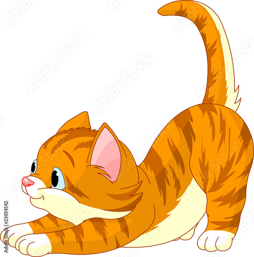 Cute red hair Cat stretching
