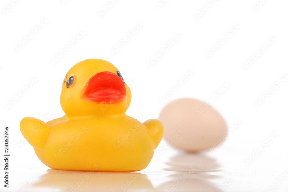 duckling with egg duckling with egg