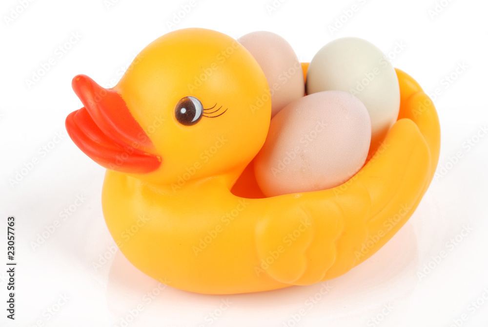 duckling with egg duckling with egg