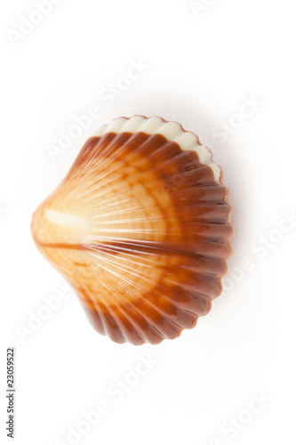 chocolate seashell