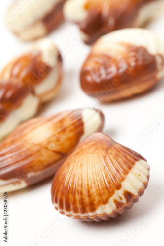 chocolate seashells