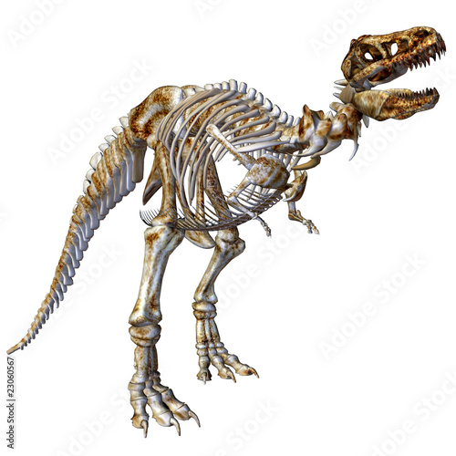 Skelett T-Rex