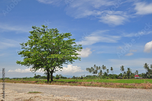 lonely in the countryside