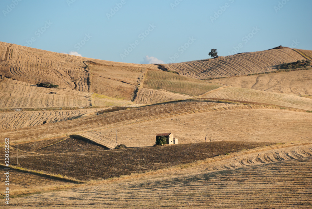 Obraz premium Summer Countryside