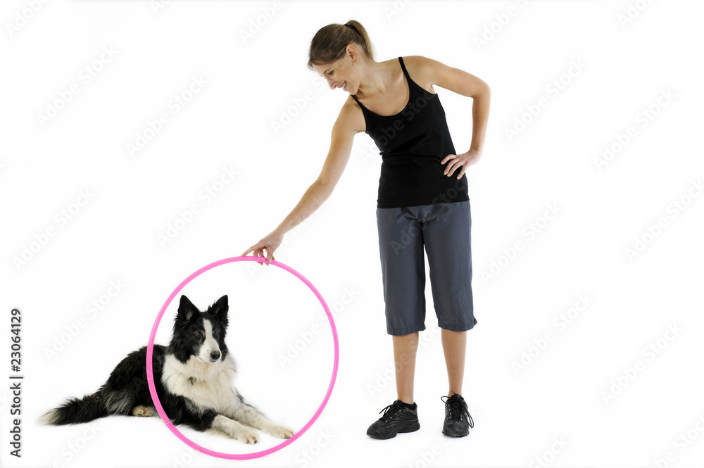 border collie attendant l'ordre de sa maîtresse border collie attendant l'ordre de sa maîtresse