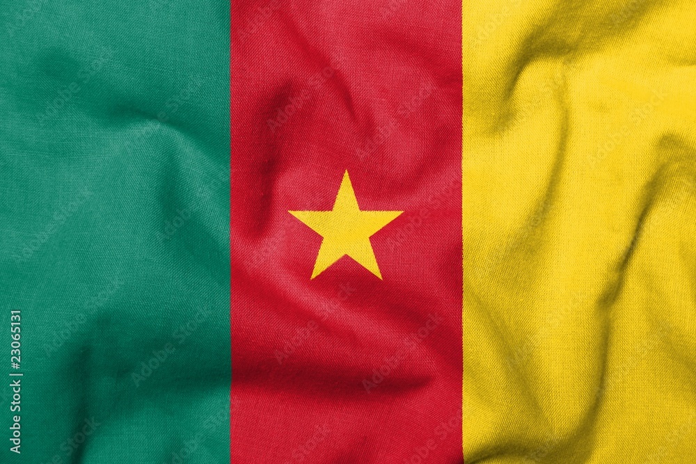 Fototapeta premium 3D Flag of Cameroon