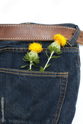 紅花とジーンズ縦アップ