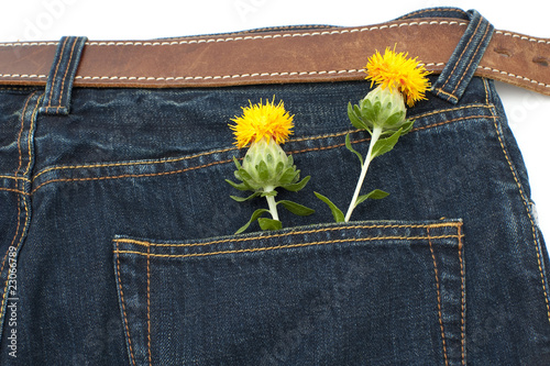 紅花とジーンズ横アップ