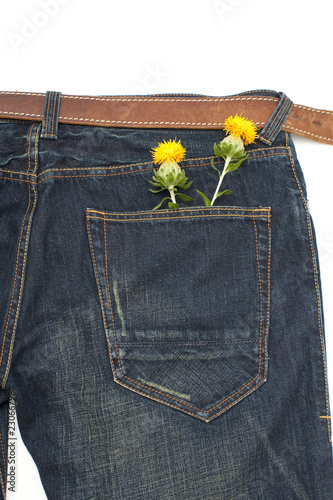 紅花とジーンズ縦