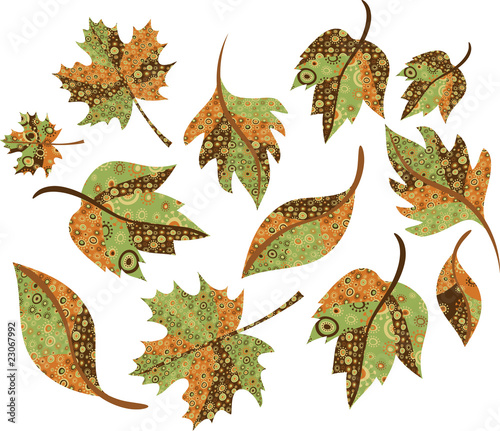 Autumn leaves