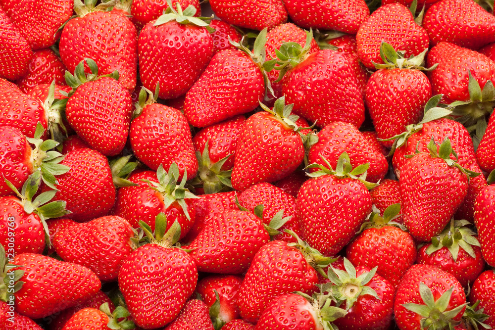 fresh strawberry fresh strawberry