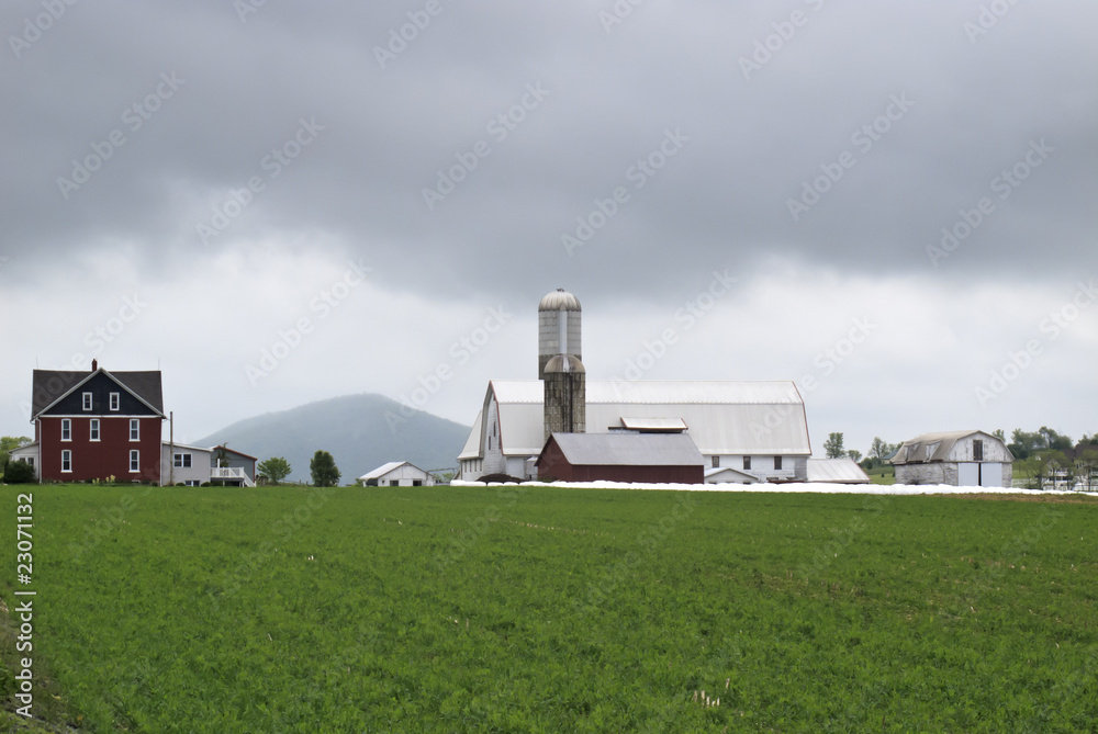 Stock Photo of Amish Farms
