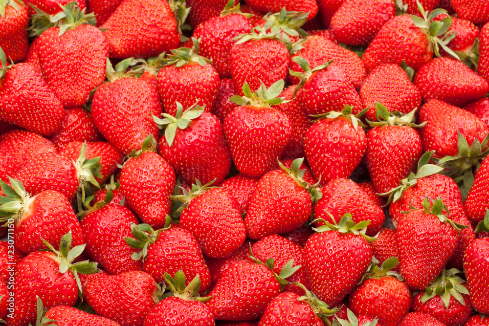 fresh strawberry fresh strawberry