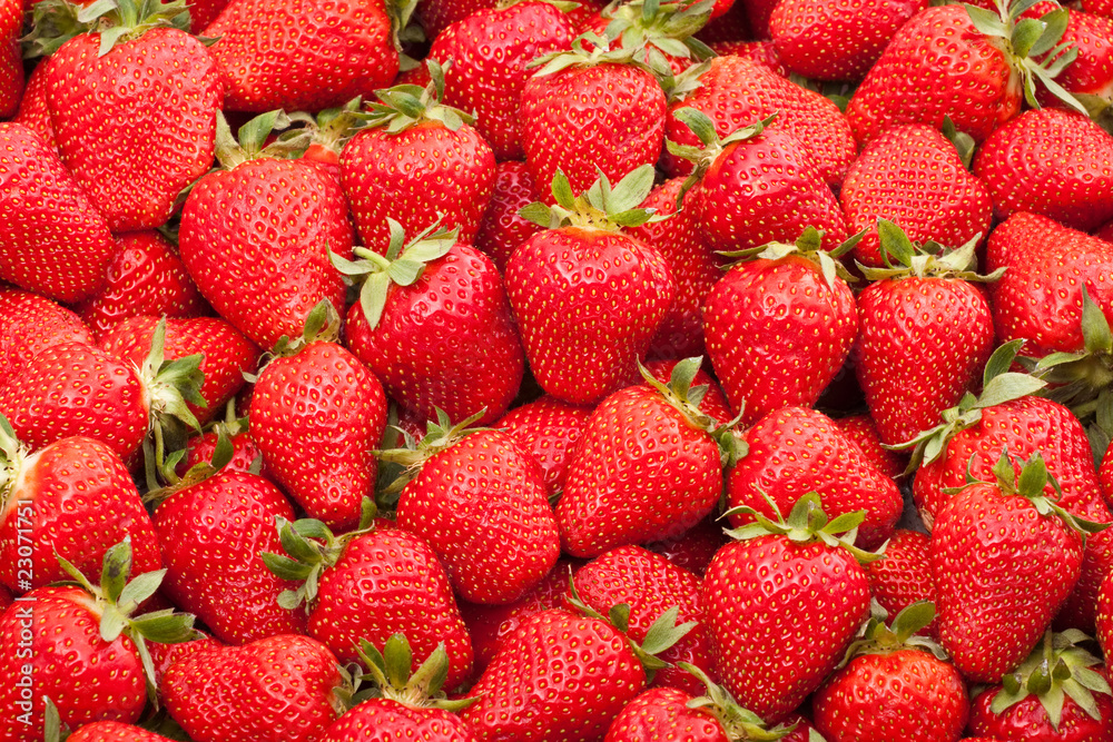 fresh strawberry fresh strawberry