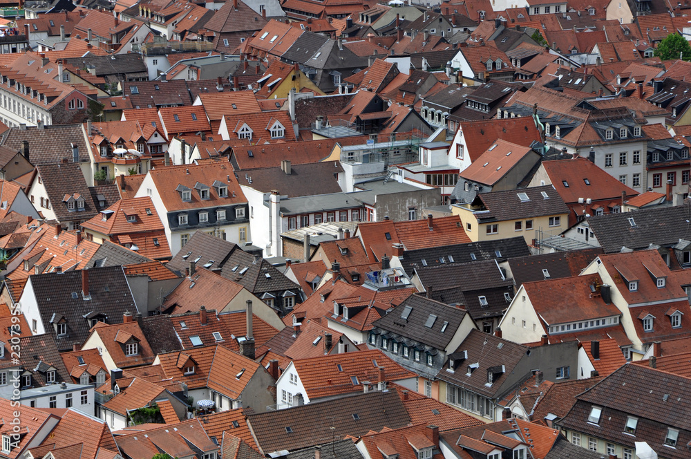 Dächer der Altstadt von Heidelberg